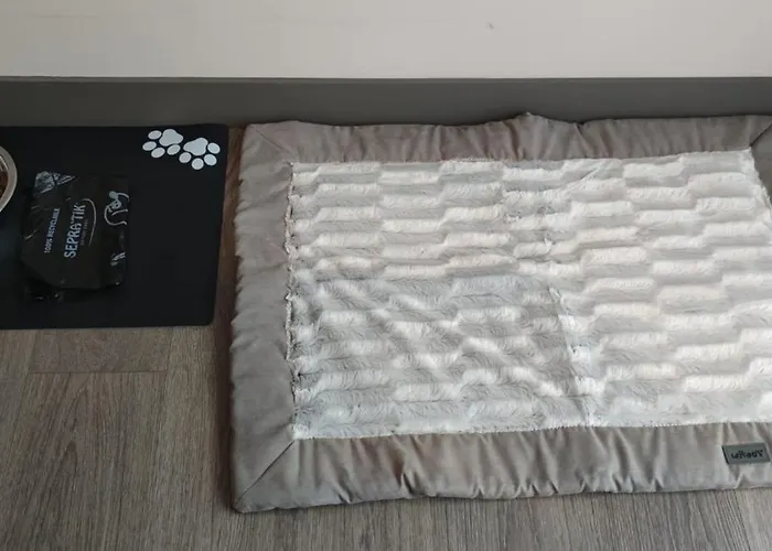 Planb - Living 霞慕尼